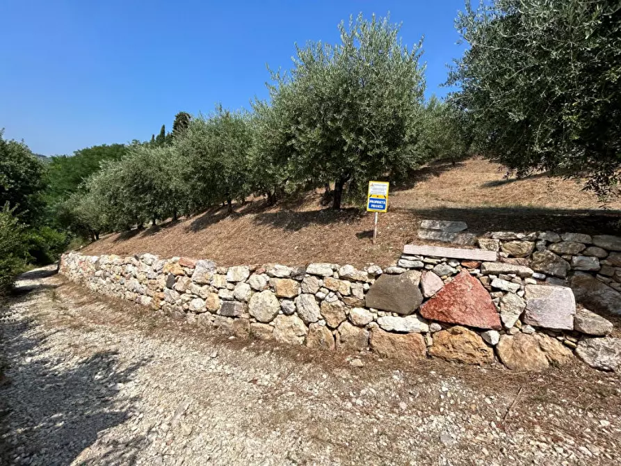 Immagine 6 di Terreno in vendita  a Tregnago