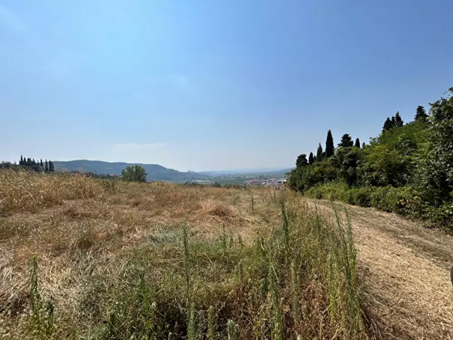 Immagine 7 di Terreno in vendita  a Tregnago