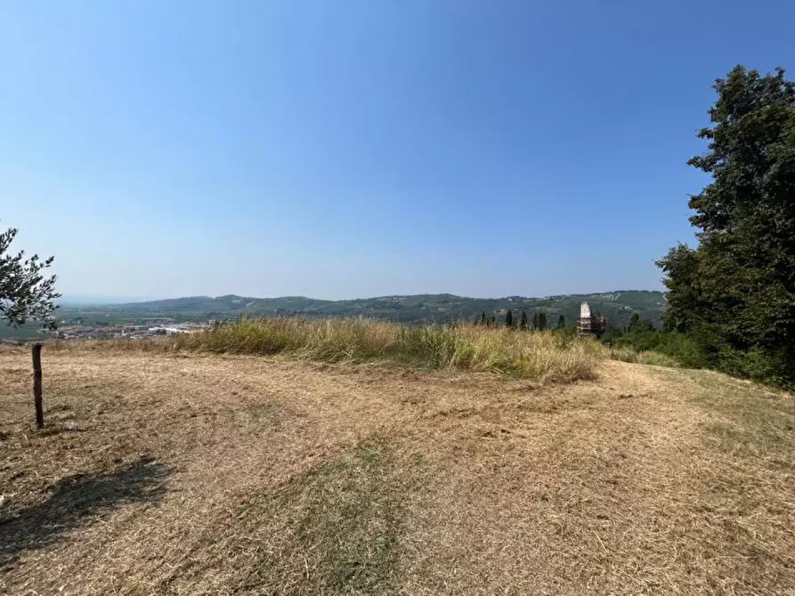 Immagine 8 di Terreno in vendita  a Tregnago