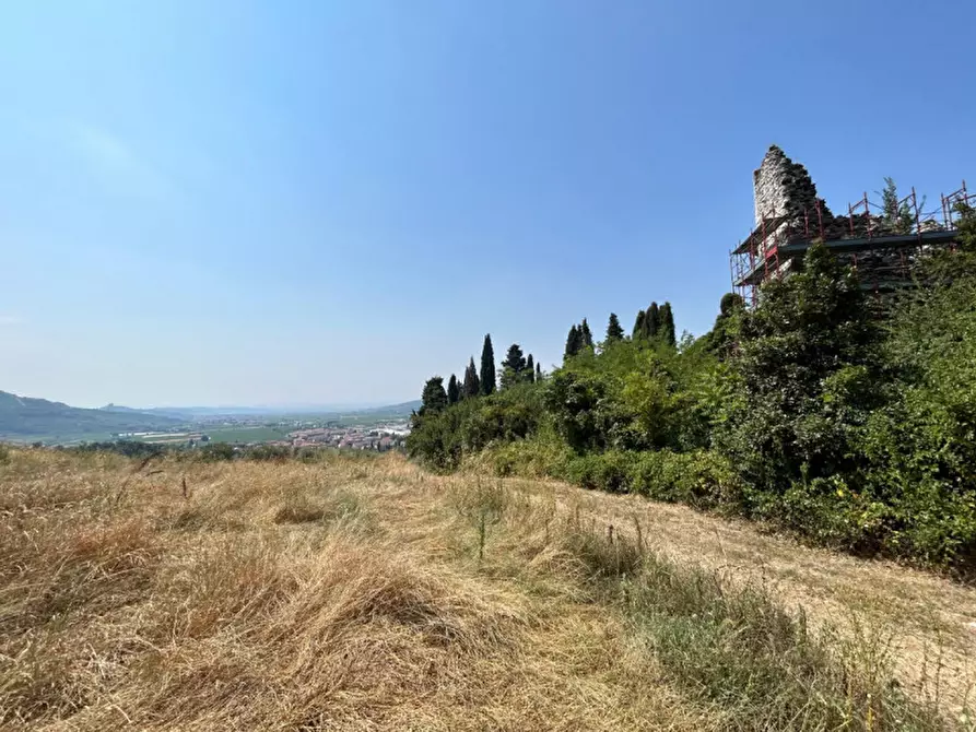 Immagine 9 di Terreno in vendita  a Tregnago