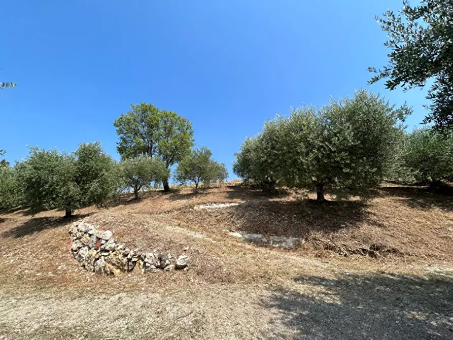 Immagine 10 di Terreno in vendita  a Tregnago