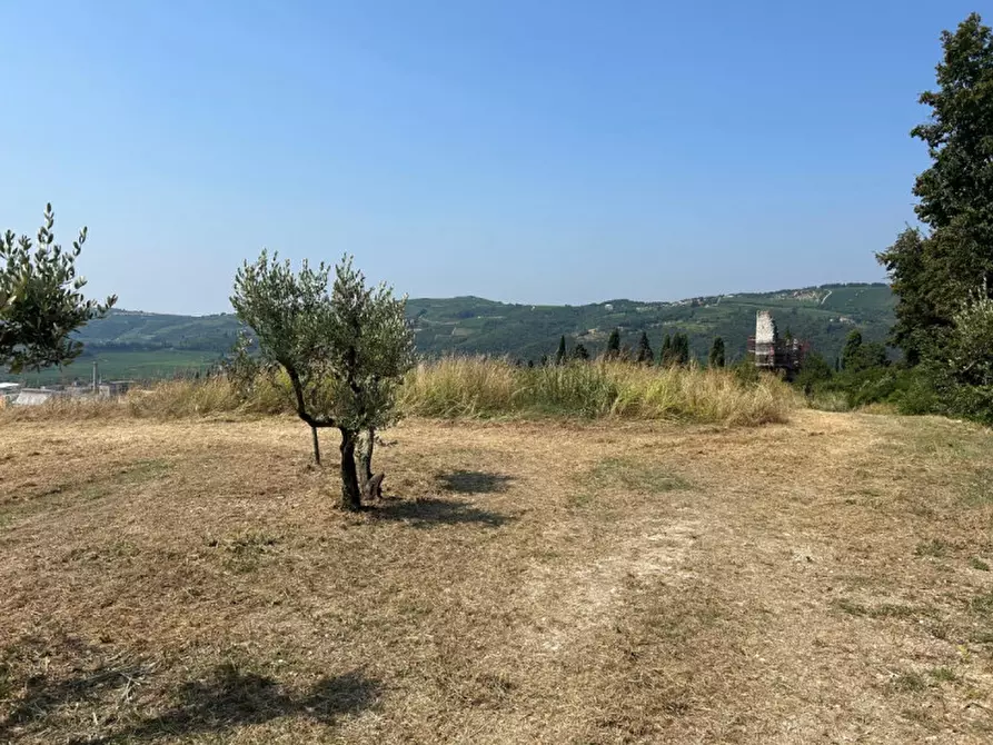 Immagine 12 di Terreno in vendita  a Tregnago