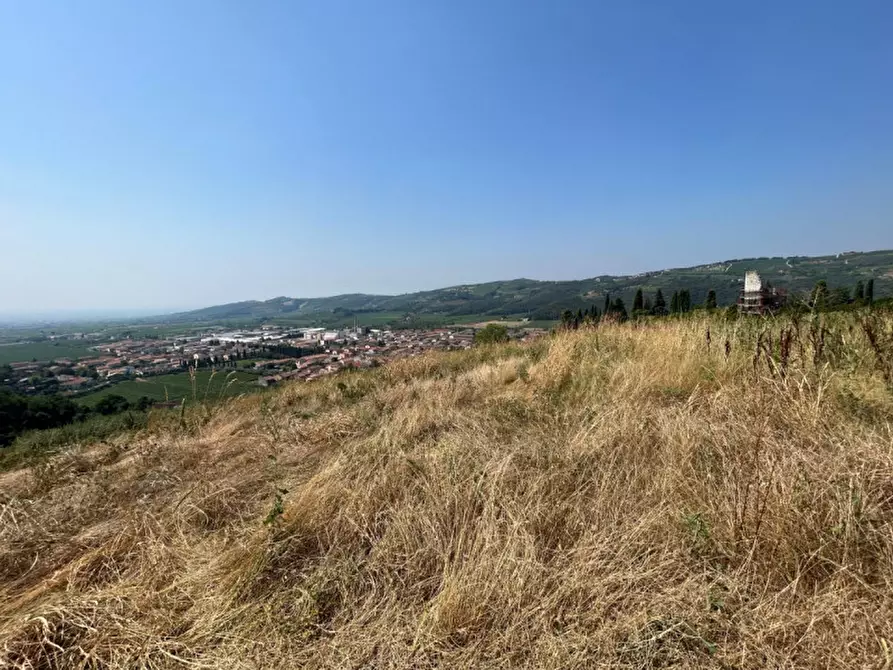 Immagine 13 di Terreno in vendita  a Tregnago