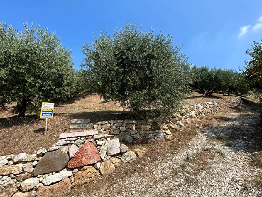 Immagine 14 di Terreno in vendita  a Tregnago