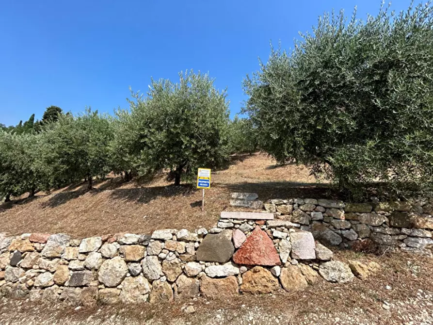 Immagine 15 di Terreno in vendita  a Tregnago