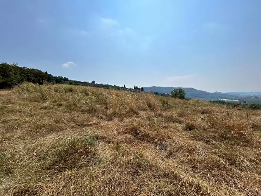 Immagine 17 di Terreno in vendita  a Tregnago
