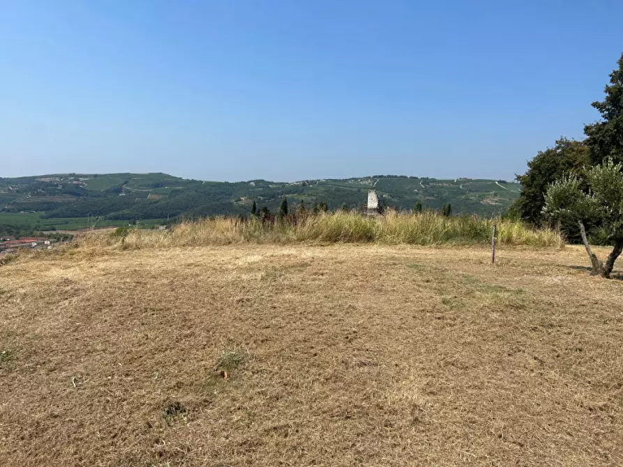 Immagine 18 di Terreno in vendita  a Tregnago