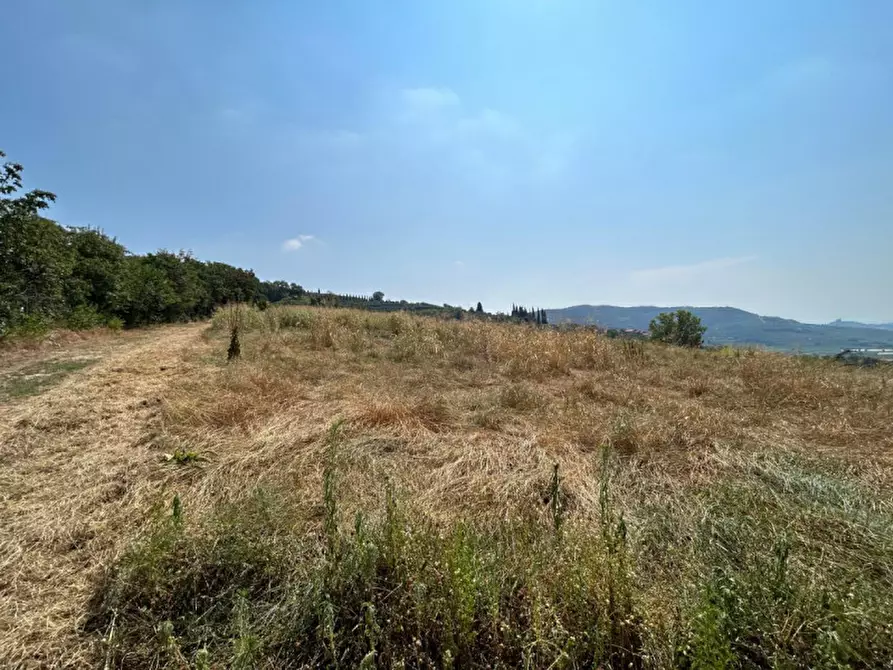 Immagine 19 di Terreno in vendita  a Tregnago
