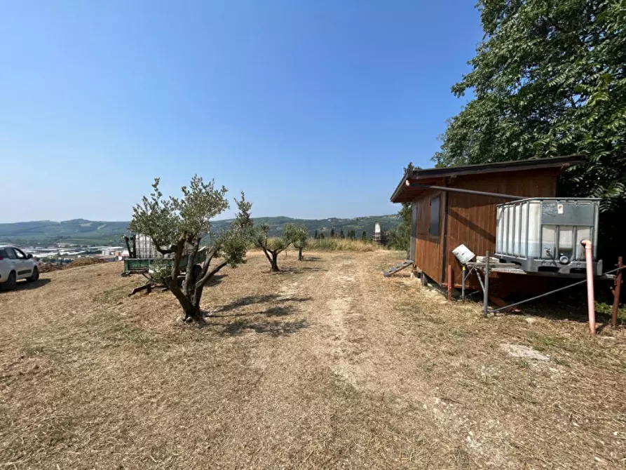 Immagine 20 di Terreno in vendita  a Tregnago