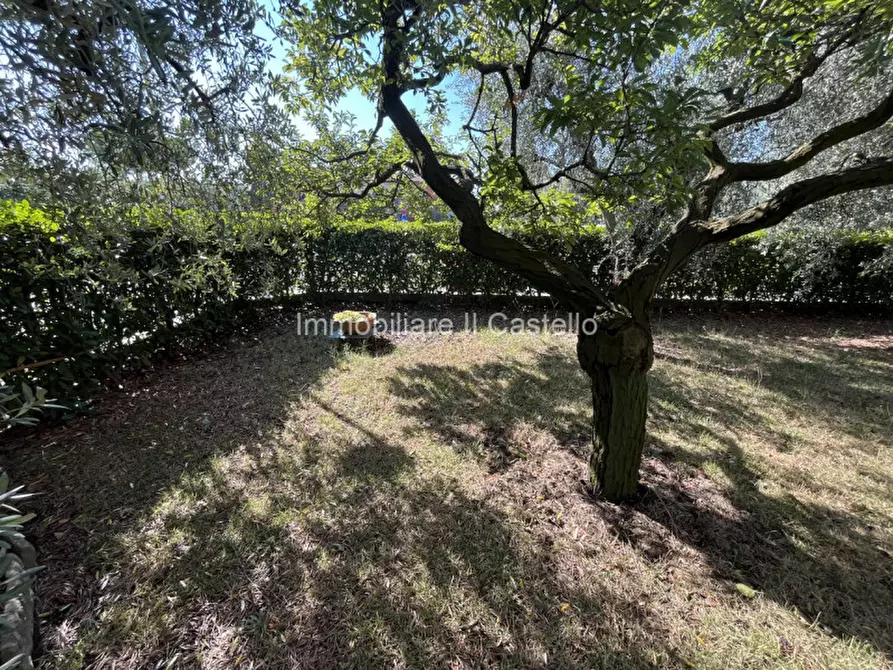 Immagine 22 di Casa indipendente in vendita  in Via Bartoli a Castiglione Del Lago