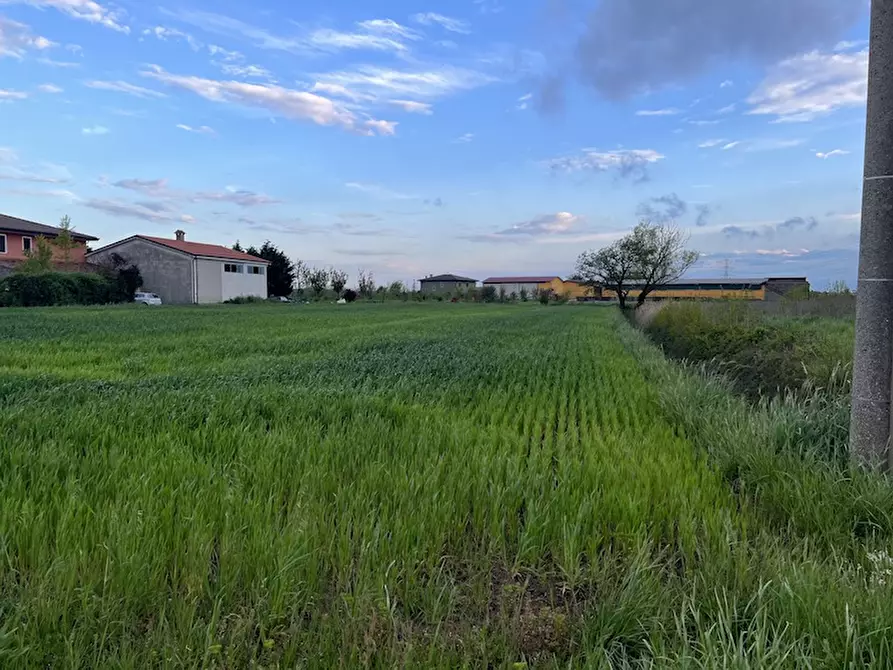 Immagine 1 di Terreno in vendita  a Codevigo