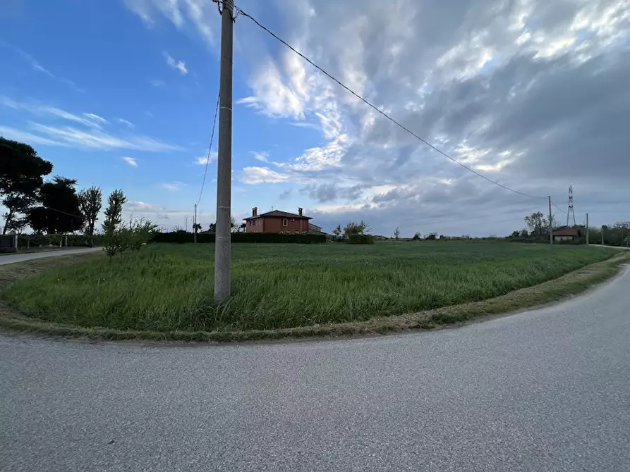 Immagine 2 di Terreno in vendita  a Codevigo