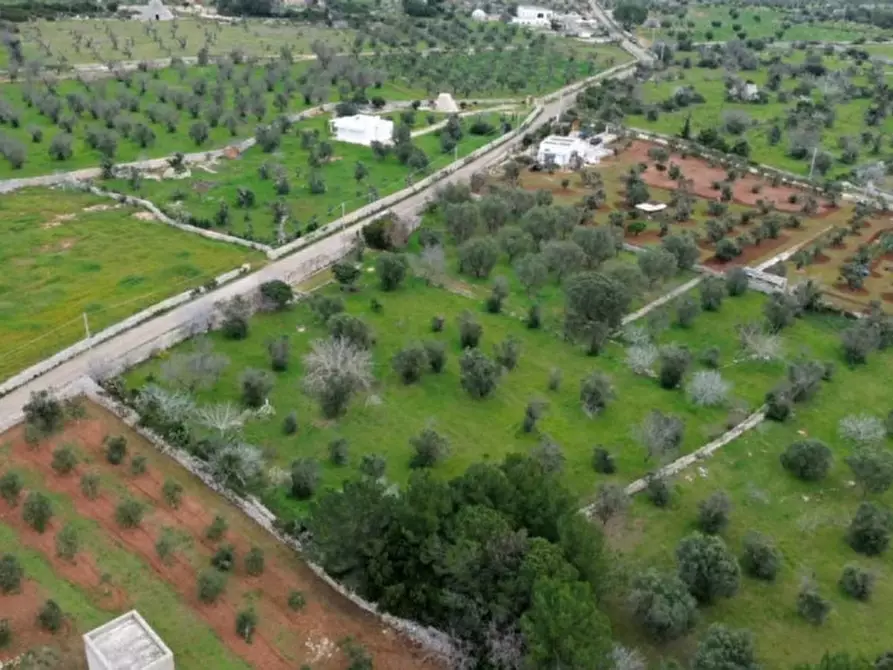Immagine 2 di Terreno in vendita  in Via Leopaldi, Salve LE, Italia a Salve
