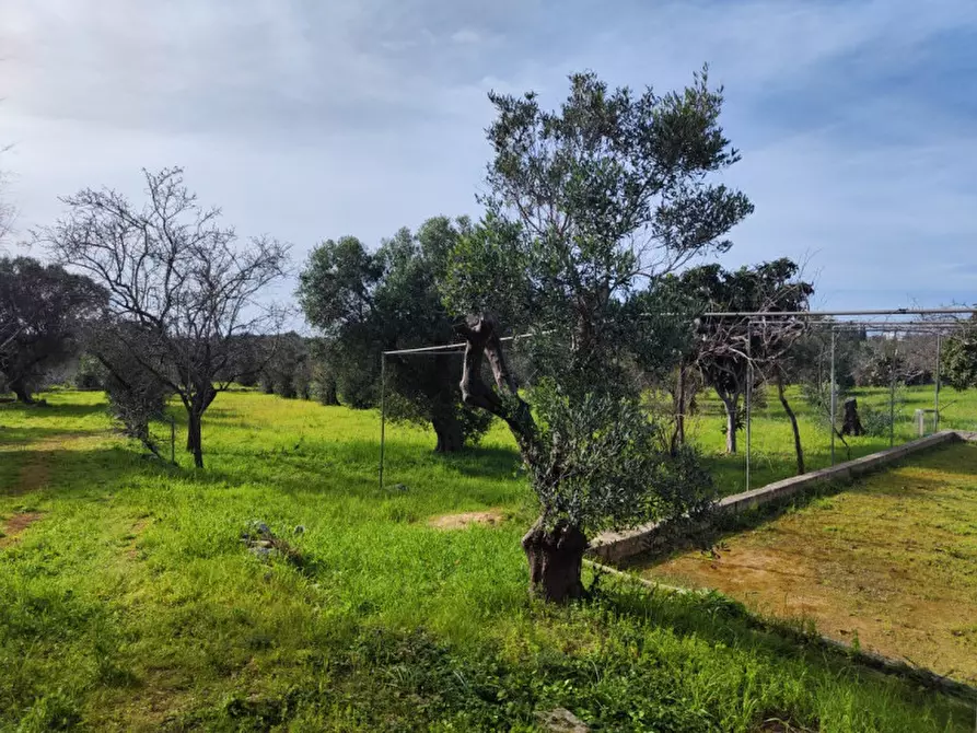 Immagine 5 di Terreno in vendita  in Via Leopaldi, Salve LE, Italia a Salve