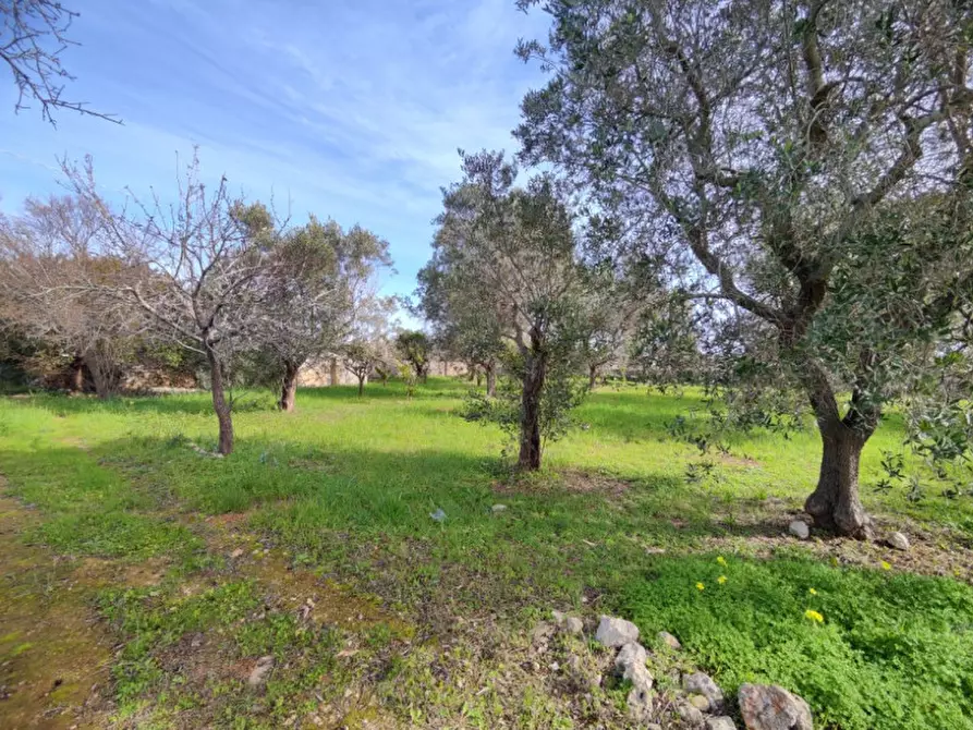 Immagine 6 di Terreno in vendita  in Via Leopaldi, Salve LE, Italia a Salve