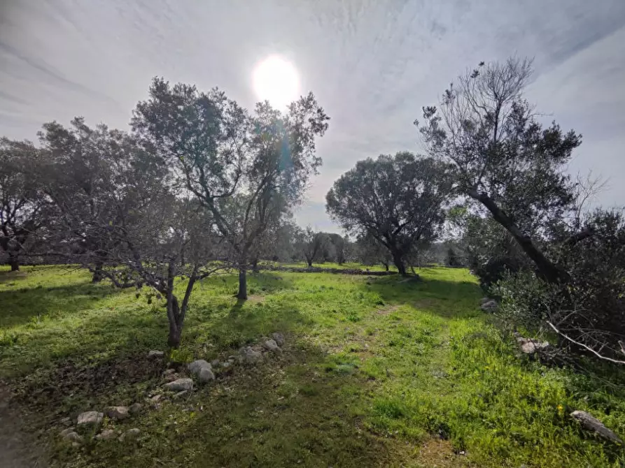 Immagine 7 di Terreno in vendita  in Via Leopaldi, Salve LE, Italia a Salve