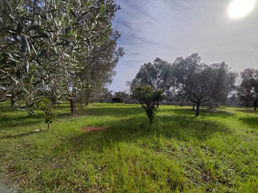 Immagine 8 di Terreno in vendita  in Via Leopaldi, Salve LE, Italia a Salve