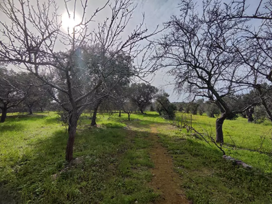Immagine 10 di Terreno in vendita  in Via Leopaldi, Salve LE, Italia a Salve