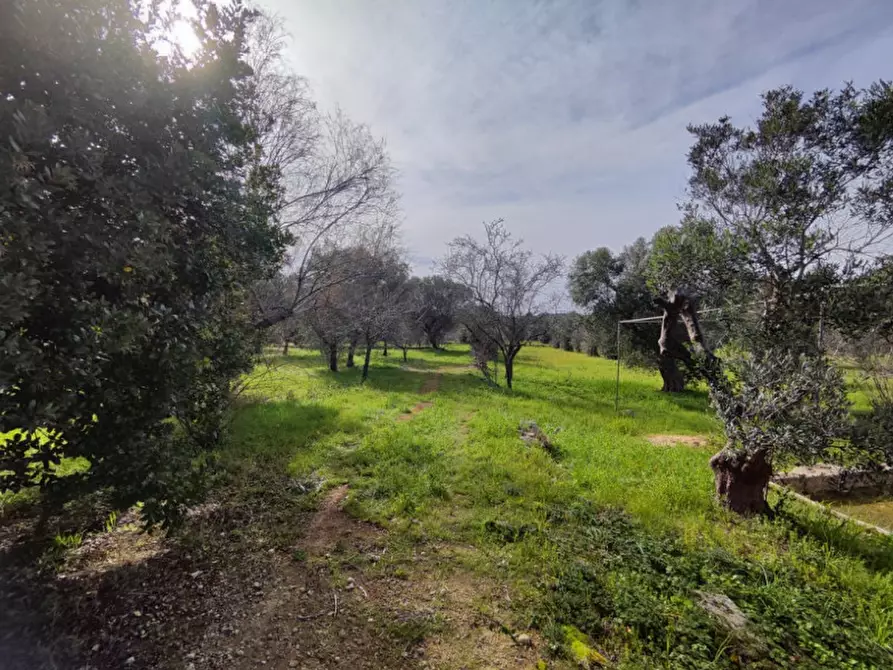 Immagine 11 di Terreno in vendita  in Via Leopaldi, Salve LE, Italia a Salve