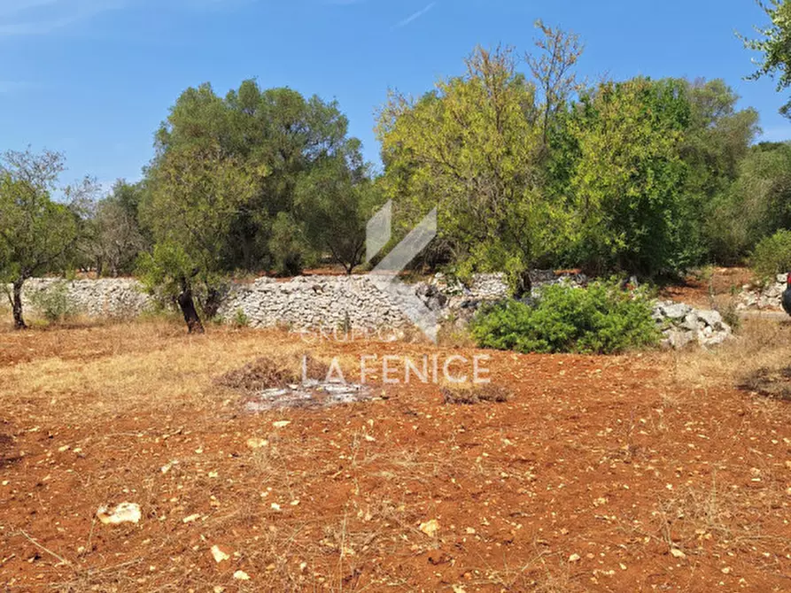 Immagine 7 di Rustico / casale in vendita  in Strada Provinciale 14 Ostuni - Martina a Martina Franca