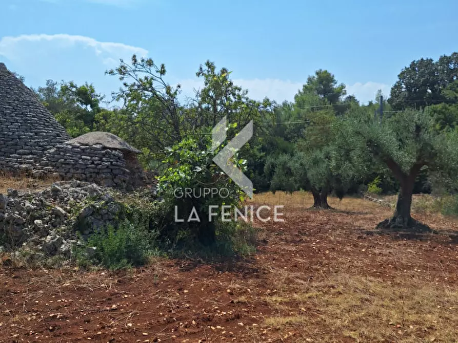 Immagine 8 di Rustico / casale in vendita  in Strada Provinciale 14 Ostuni - Martina a Martina Franca