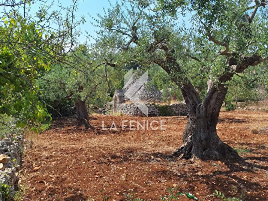 Immagine 17 di Rustico / casale in vendita  in Strada Provinciale 14 Ostuni - Martina a Martina Franca