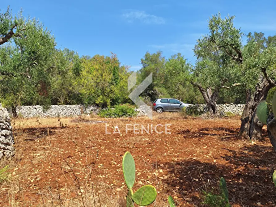 Immagine 19 di Rustico / casale in vendita  in Strada Provinciale 14 Ostuni - Martina a Martina Franca