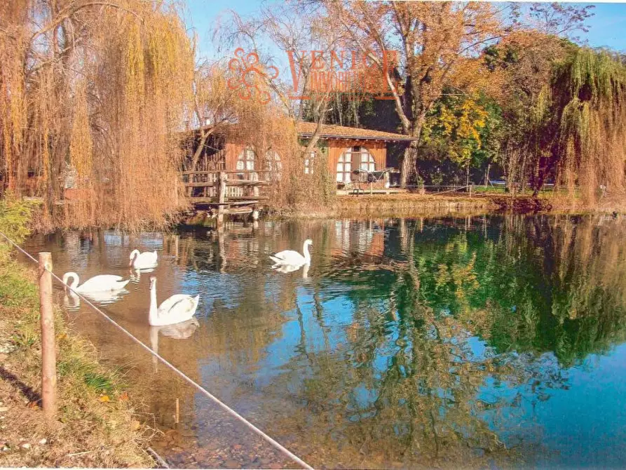 Immagine 3 di Terreno in vendita  a Riese Pio x