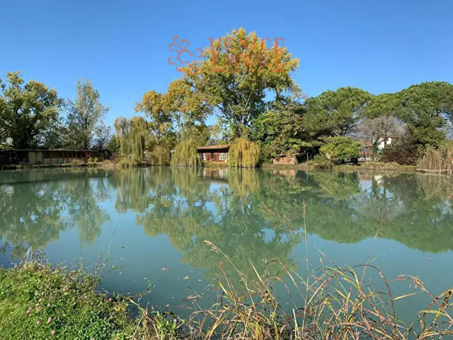 Immagine 5 di Terreno in vendita  a Riese Pio x