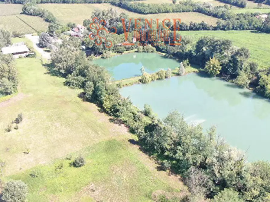 Immagine 10 di Terreno in vendita  a Riese Pio x