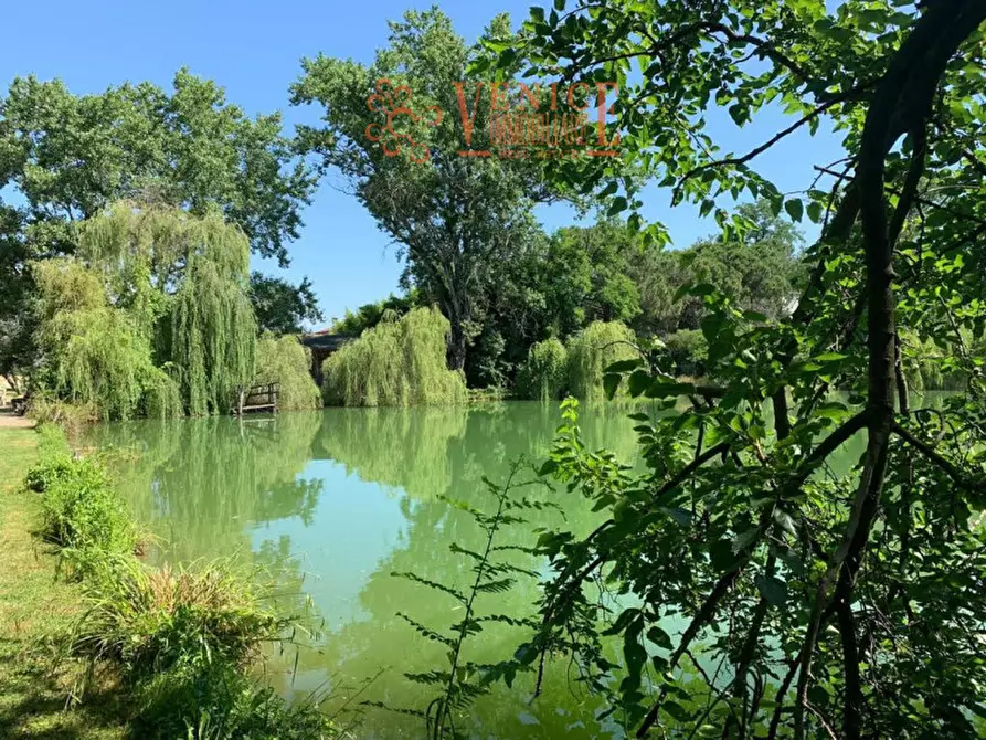 Immagine 9 di Terreno in vendita  a Riese Pio x