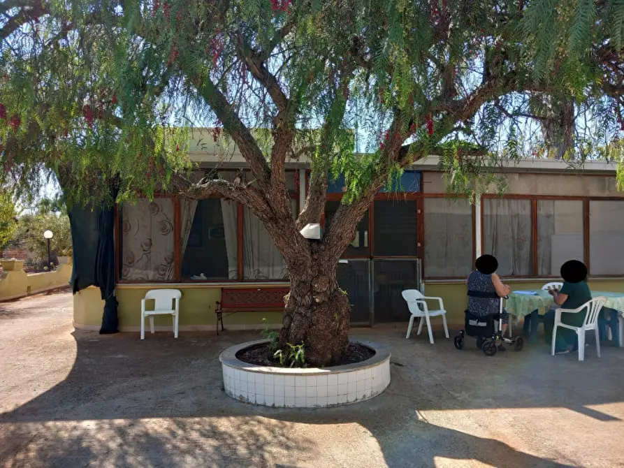 Immagine 24 di Villa in vendita  in C.da Padalino a Carovigno