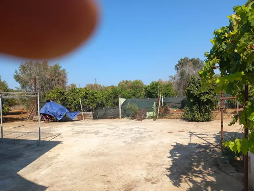 Immagine 25 di Villa in vendita  in C.da Padalino a Carovigno