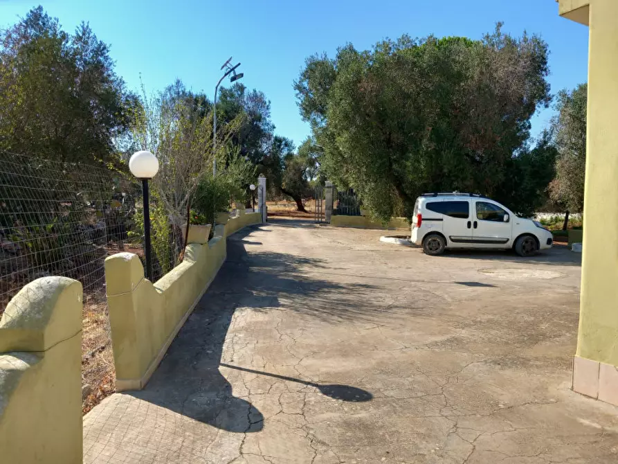 Immagine 38 di Villa in vendita  in C.da Padalino a Carovigno