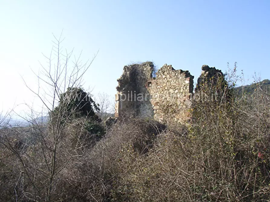 Immagine 1 di Rustico / casale in vendita  a Montalcino