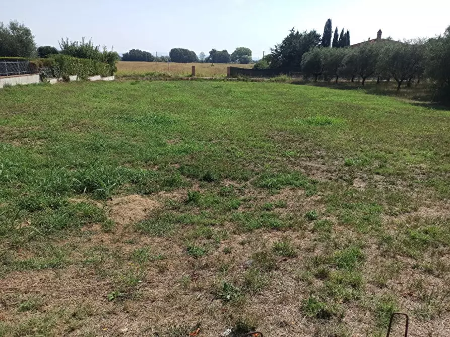 Immagine 1 di Terreno in vendita  a Castiglione Del Lago