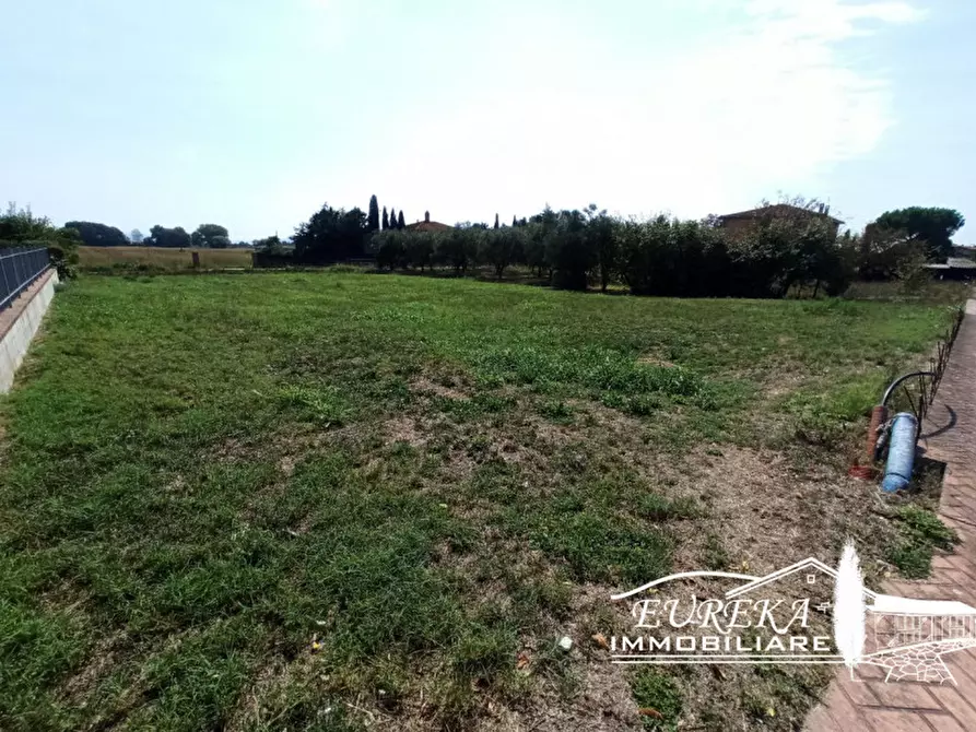 Immagine 2 di Terreno in vendita  a Castiglione Del Lago