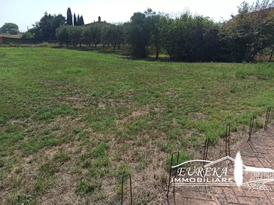 Immagine 3 di Terreno in vendita  a Castiglione Del Lago