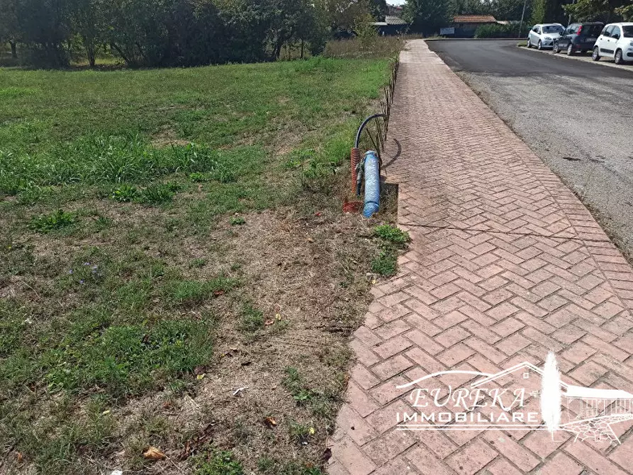 Immagine 4 di Terreno in vendita  a Castiglione Del Lago