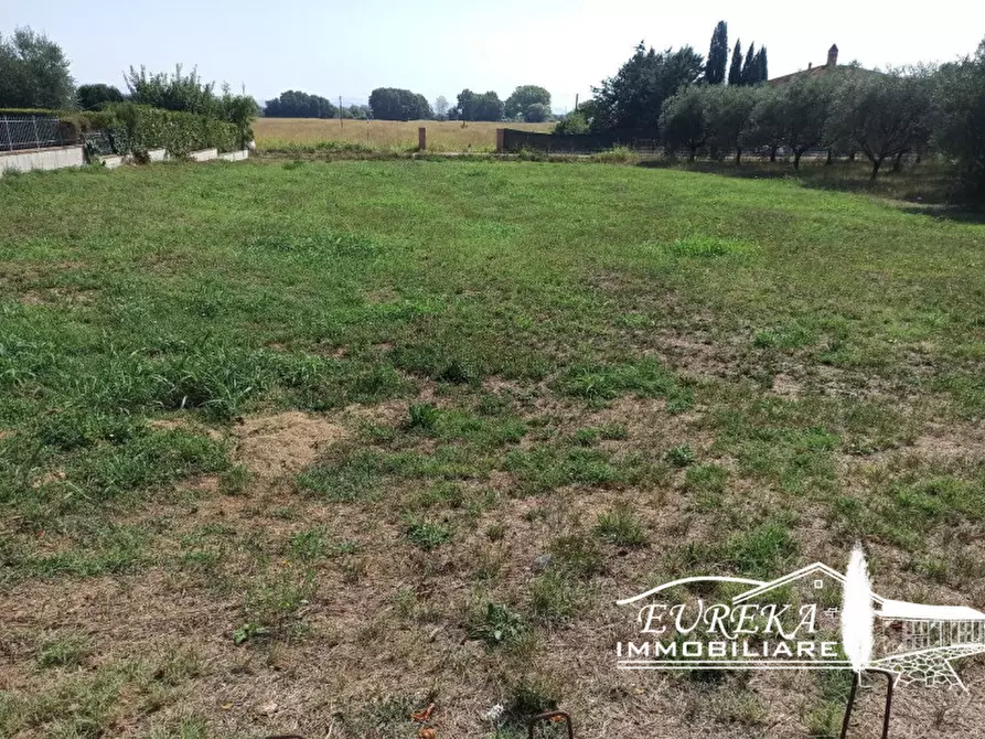 Immagine 6 di Terreno in vendita  a Castiglione Del Lago