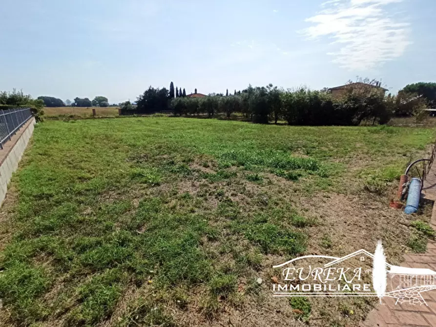 Immagine 7 di Terreno in vendita  a Castiglione Del Lago