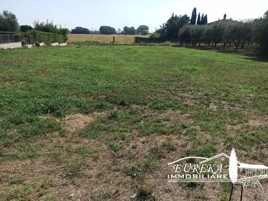 Immagine 8 di Terreno in vendita  a Castiglione Del Lago