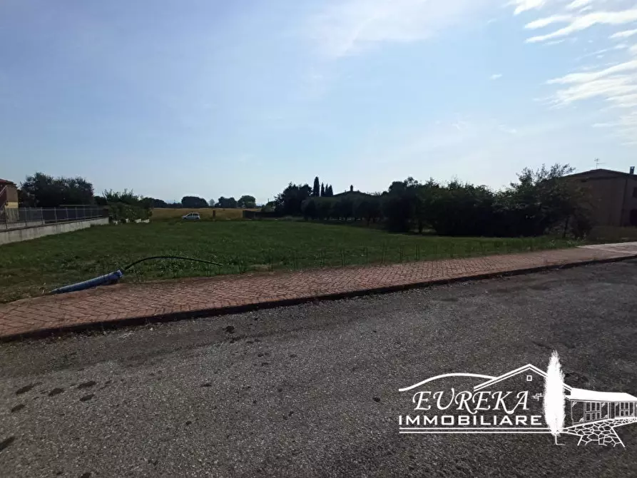 Immagine 10 di Terreno in vendita  a Castiglione Del Lago