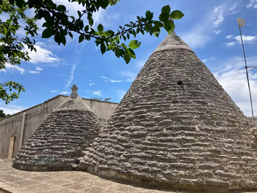 Immagine 3 di Villa in vendita  in CONTRADA MONTAVICOLI a Ceglie Messapico