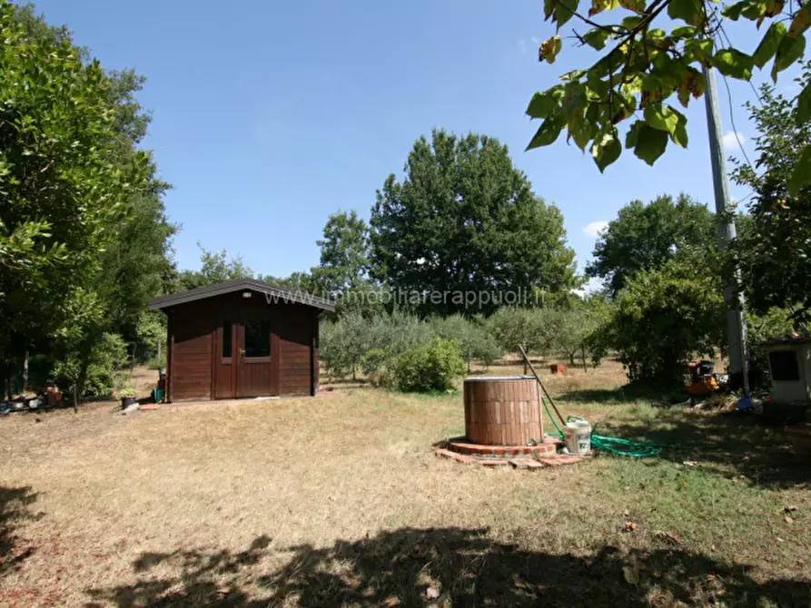 Immagine 2 di Terreno in vendita  a Lucignano