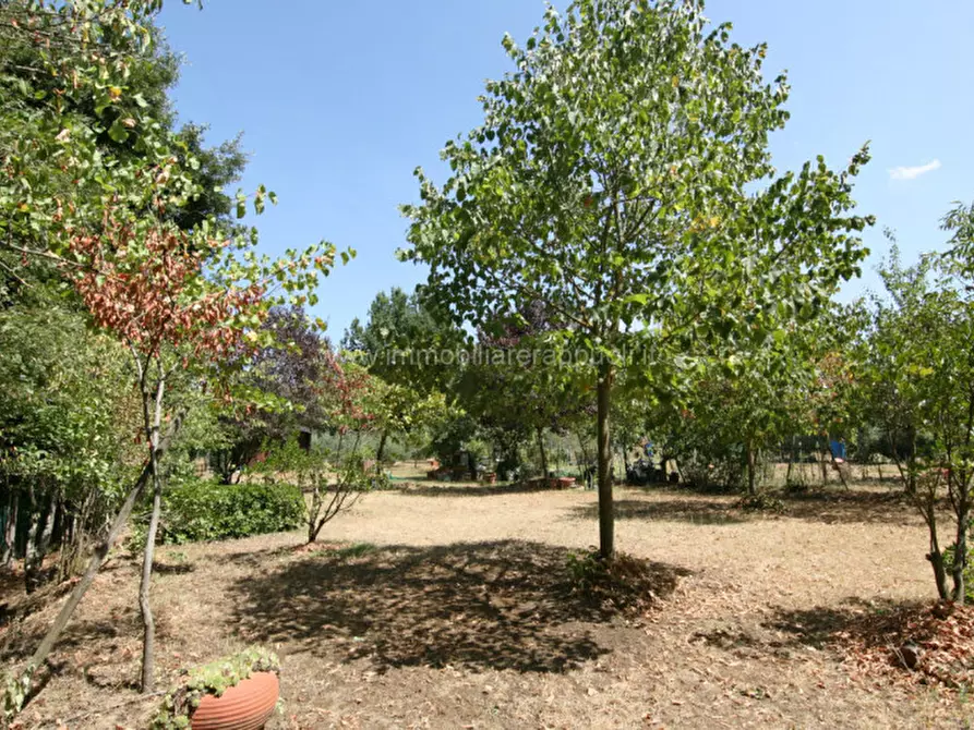 Immagine 4 di Terreno in vendita  a Lucignano