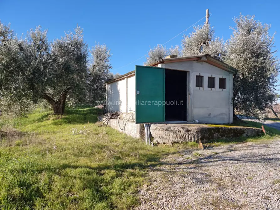mansarda in vendita a Montepulciano