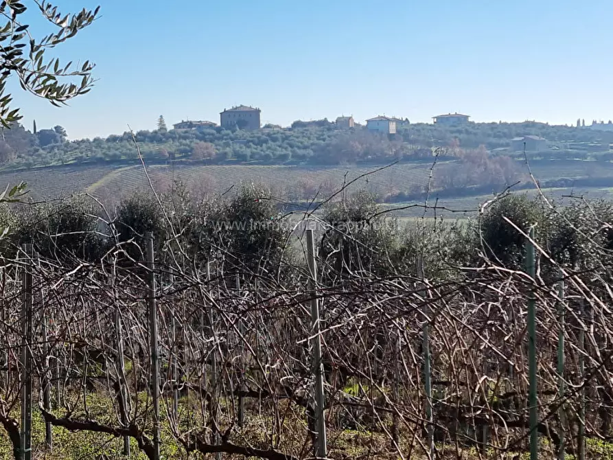 Immagine 5 di Terreno in vendita  a Montepulciano