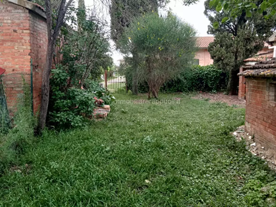 Immagine 2 di Villa in vendita  a Pienza