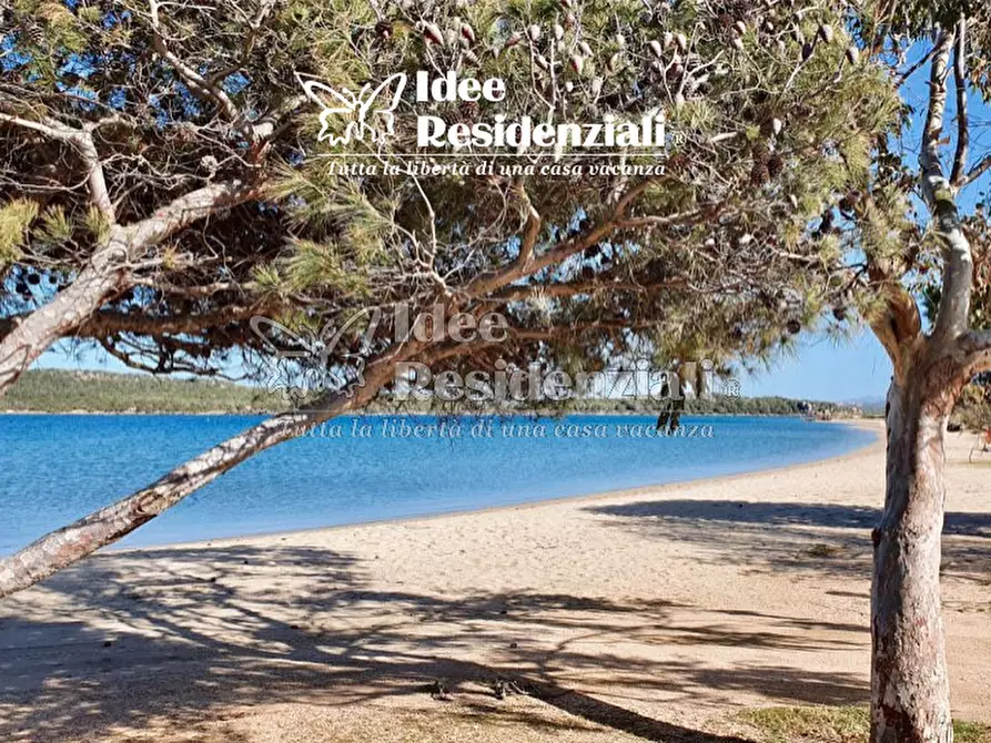 Immagine 21 di Villa in vendita  in porto pozzo a Santa Teresa Gallura